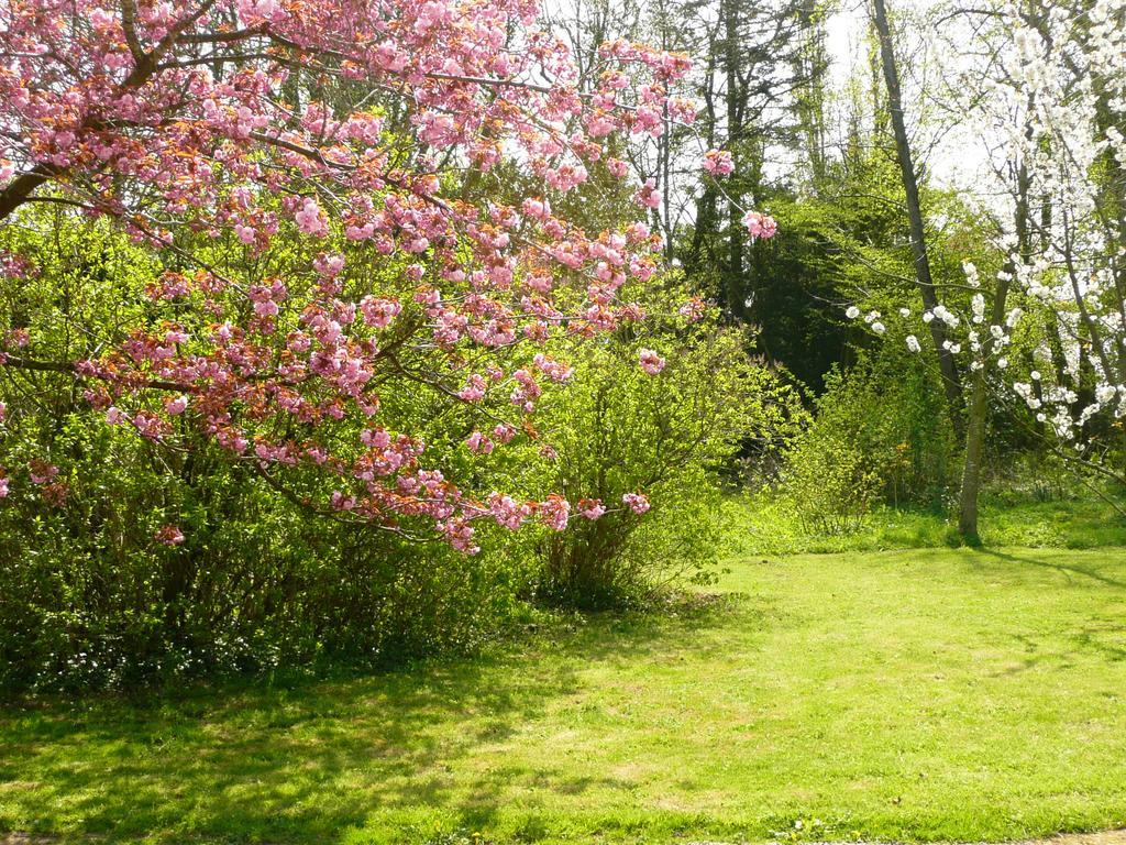 B&B Au Petit Tambour D'Autingues المظهر الخارجي الصورة
